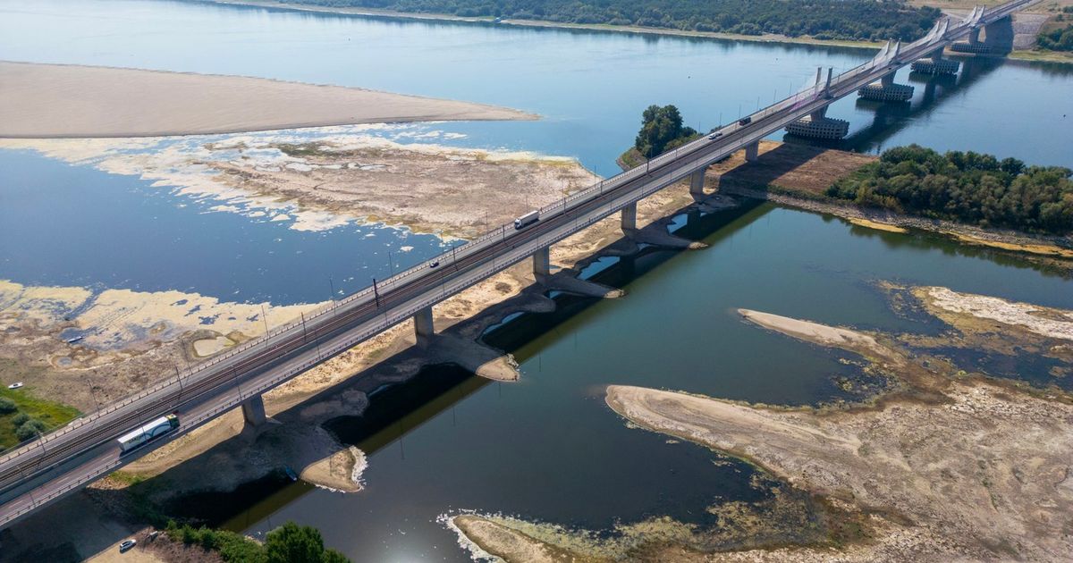 Posledice hidrološke krize na rekama u Srbiji: Rečni saobraćaj u problemu, manje i kruzera i tereta