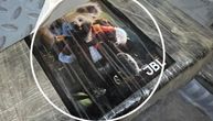 ŠTA ZNAČI KOALA NA PAKETIMA KOKAINA? Pao diler u Novom Sadu sa 3 kilograma otrova vrednog 200.000 evra!