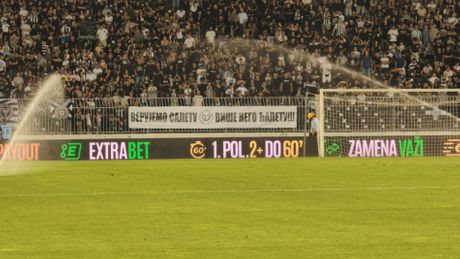Partizan, Grobari
