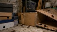 Ovo mnogi čuvaju u kući, a pravi je raj za bubašvabe: Posebno je rizično ako stoji u podrumu