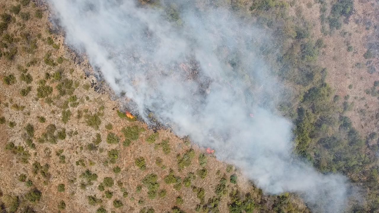 Buktinja kod Šapca: Ogroman požar kulja ka Savi, meštani u strahu!