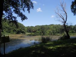 Jezero Zaova