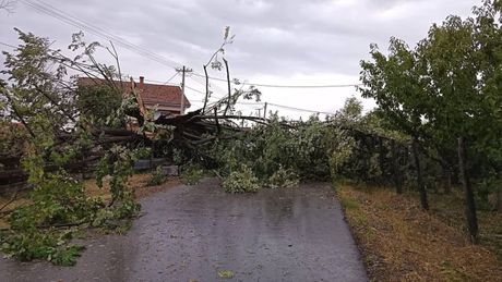 Nevreme u Gornjoj Gorevnici