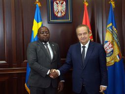 Demokratska Republika Kongo, Mali, Ivica Dačić