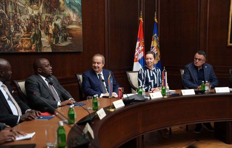 Demokratska Republika Kongo, Mali, Ivica Dačić