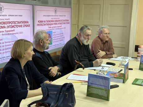 Dragan Todorović, Romi, Romska manjina