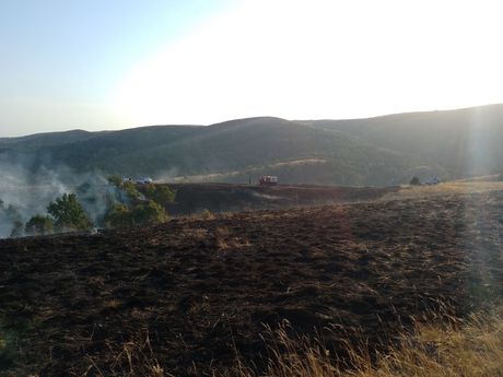 Požar Ravna Gora