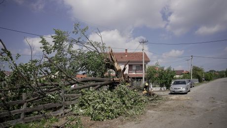 Grad omlatio voćnjake u Gornjem Milanovcu