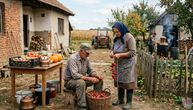Što u septembru uradite, na zimu će vam se vratiti: Zasucite rukave! Šta se sve na selu mora pre jeseni
