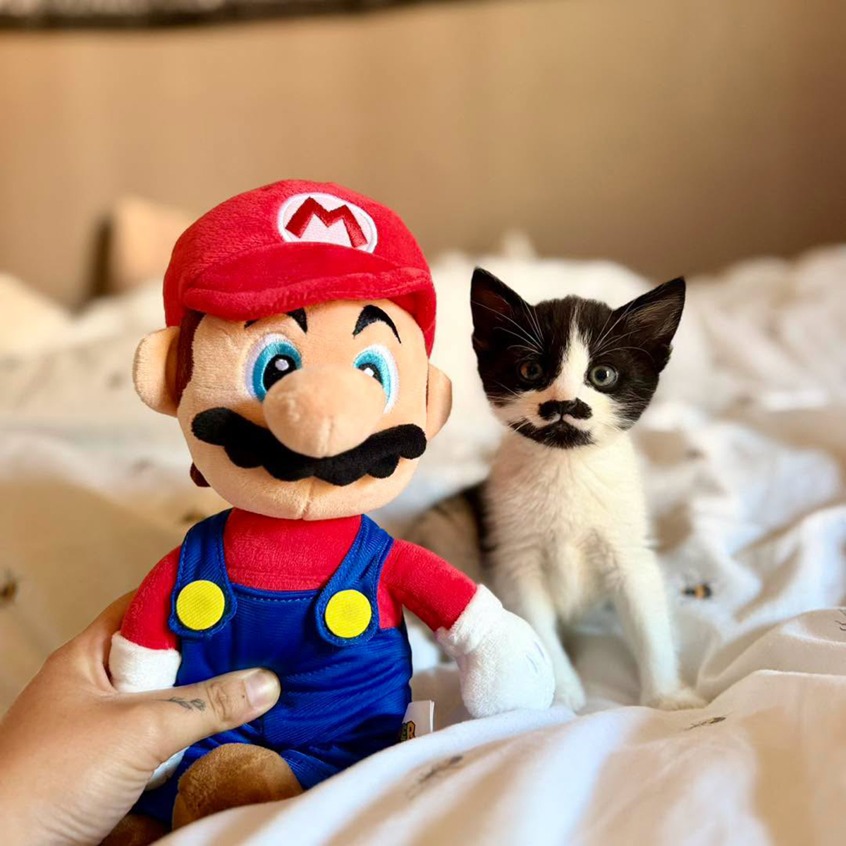 Strimeri i gejmeri u dobrotvornoj misiji: Mario nije lik iz igrice, ali ima brkove kao čuveni vodoinstalater