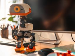 mini francuski robot, Robot patka