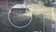 Dramatičan snimak iz grada u Srbiji: Čopor od 10 pasa POJURIO devojčicu, scene su STRAŠNE