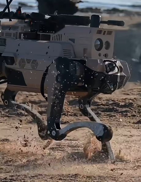 Kineski pas-robot