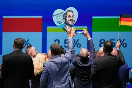 AFD, Nemačka