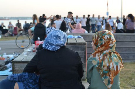 Svedska migranti