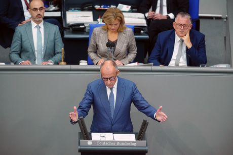 Fridrih Merc Bundestag