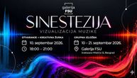 U četvrtak u Galeriji FSU: Neobična izložba spaja muziku, sliku i žurku na kojoj publika ulazi u umetnost