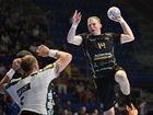 RK Partizan RK Fukse Berlin