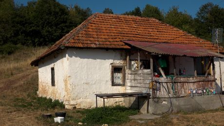 selo Zabrđe, Novi Pazar, selo neženja, braća Jankovići