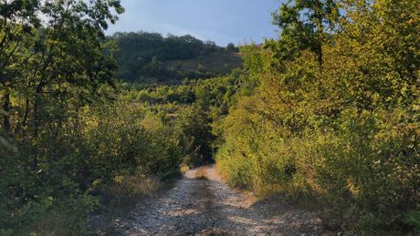 selo Zabrđe, Novi Pazar, selo neženja, braća Jankovići