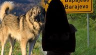 Šarplaninac umalo zaklao tinejdžerku (16) u Barajevu: Krvavi pir komšijskog psa, poddivljala zver u bekstvu!