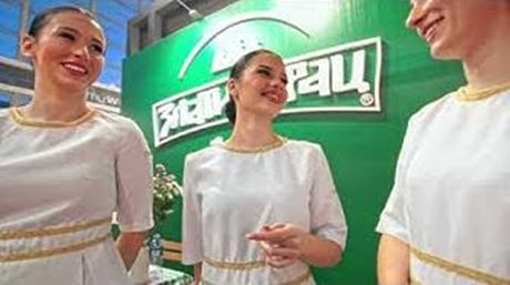 Zlatiborac