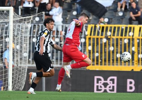 Vojvodina, Partizan