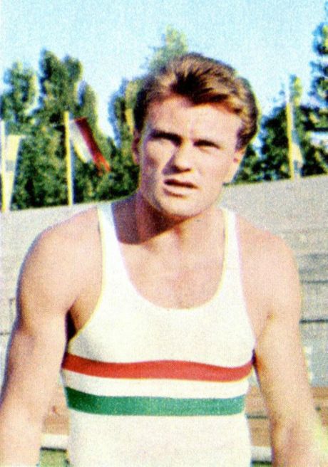 Đula Živocki