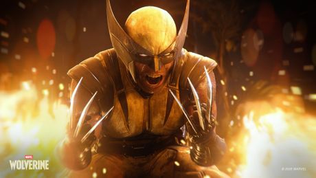 Marvel s Wolverine