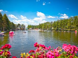 Zlatibor