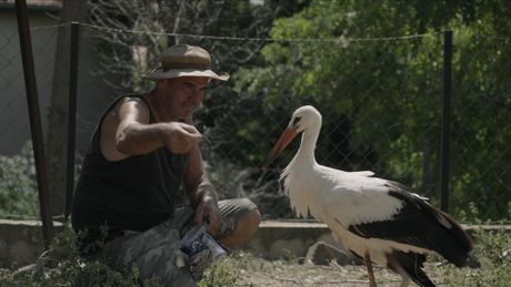 Srpska premijera filma „Priča o Silijanu“ Tamare Kotevske otvara 72/73. Martovski festival