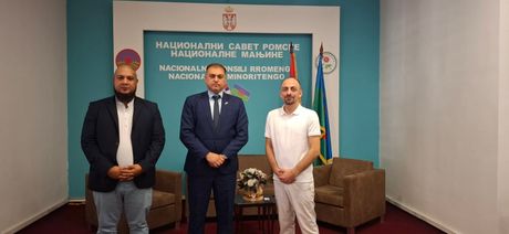 Nacionalni savet romske nacionalne manjine, REDI, Dalibor Nakić, Saša Jumerović, Sadik Saitović