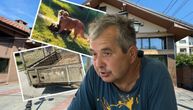 MALA GABI SKONČALA U MUKAMA! Radnik pečenjare priznao ubistvo vlasničkog psa: Evo kako je kažnjen