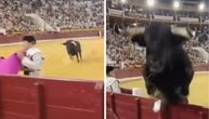 INCIDENT NA KORIDI Razjareni bik, težak 500 kg, preskočio ogradu i poleteo ka publici: "Bio je van kontrole!"