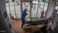 Snimak iz Čačka! Preplašena srna upala na benzinsku pumpu: Proletela kroz izlog, radnici je smirivali
