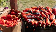Ovo je NAJBOLJA vrsta paprike za ajvar: Evo kako da izaberete pravu sortu i prepoznate je na pijaci!