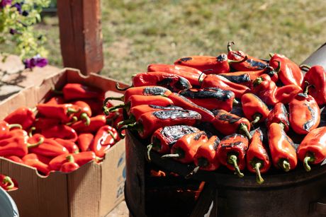 ajvar, pečenje paprika, kurtovska kapija, zimnica, crvena paprika