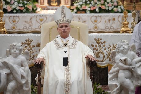 Papa Lav XIV