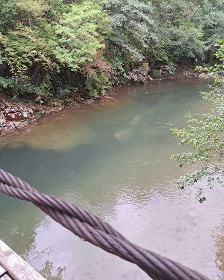 Veliki Rzav