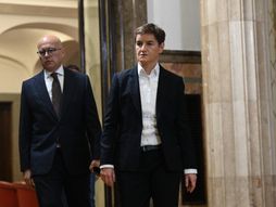 Miloš Vučević, Ana Brnabić