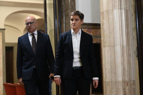 Miloš Vučević, Ana Brnabić