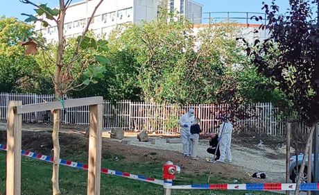 pucnjava, Kragujevac, policija