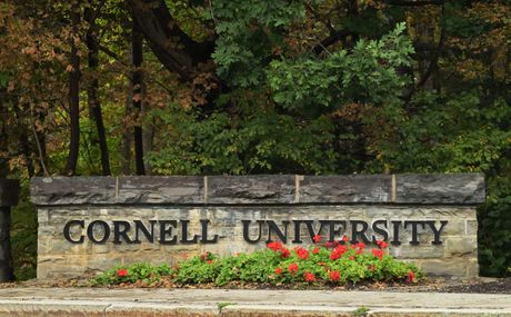 Univerzitet Kornel