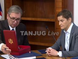 Vučić Brnabić