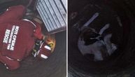 Vlasnik iz Srbije danima tražio psa, a onda je čuo cviljenje iz dubine: Evo gde su ga našli, pogled sve govori