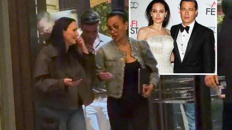 Svetlana Ceca Ražnatović, Angelina Jolie, Brad Pitt