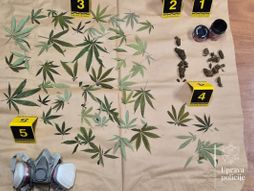 Marihuana, Zaplena, uprava polcije Crne Gore