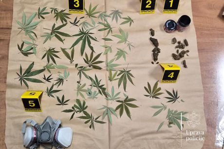 Marihuana, Zaplena, uprava polcije Crne Gore