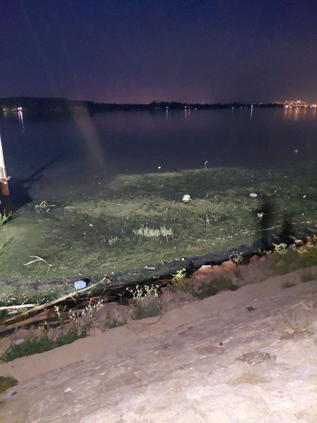 Dunav, Zemunski kej