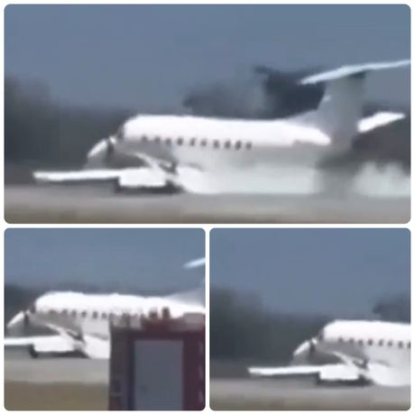 Avion udario u zebru